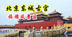 美女被狂干喷水尿尿中国北京-东城古宫旅游风景区